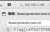 image-20250409171843439
